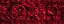 thm_wback7.gif (2716 bytes)