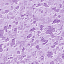 thm_mback19.gif (3294 bytes)