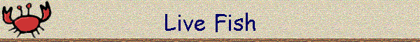 Live Fish