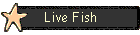 Live Fish