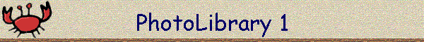 PhotoLibrary 1