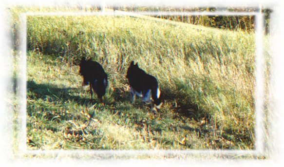 Xena and Nicky (Fee von Fafnerhaus)