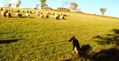On the boundary