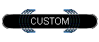 CUSTOM