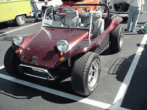 Maroon Maynx