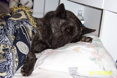 click to enter