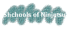 Shchools of Ninjutsu