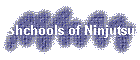 Shchools of Ninjutsu