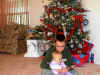 Dec2001ChristmasTree.jpg (33071 bytes)
