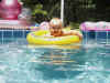Jul2001IsabelSwimer.jpg (57896 bytes)