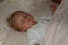 March2002_spanko.jpg (55811 bytes)