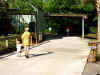 SilverSprings.jpg (72803 bytes)