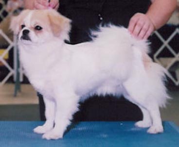 Payton