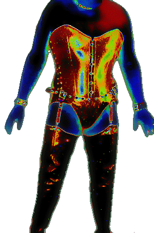 {short description of image}