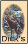 Dick's Page