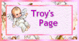Troy's Page