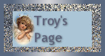 Troy's Page