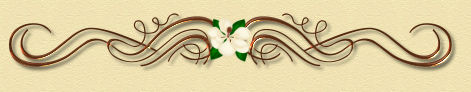 Magnolia Divider