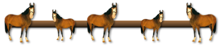 Horse Divider