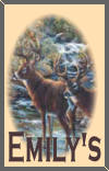 Emily's Page