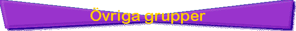 �vriga grupper