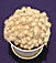mammillaria prolifera var. arachnoidea