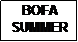 Text Box: BOFA 
SUMMER