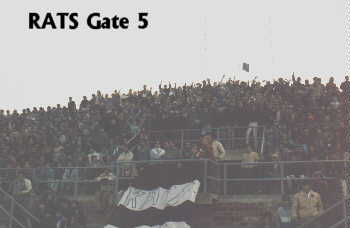 Rats - Gate 5