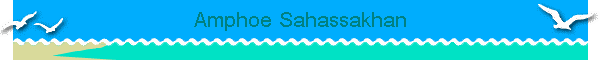 Amphoe Sahassakhan