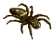 sercxilo