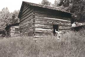 Click here to enlarge image.