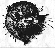 smOtterDrawing.jpg (12076 bytes)