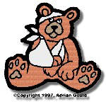 thmTeddyHurting.jpg (11538 bytes)
