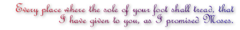 Every place you put the soul of your foot