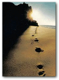 smFootprints_1.gif (37372 bytes)