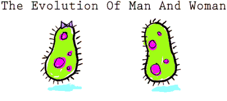 Evoluzi�n