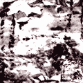 Parkinson / Disabuse - CDR
