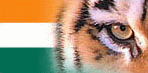 india_tiger