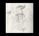 21. Dragon
