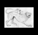 37. Chimaera