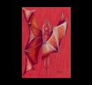 Angeli01