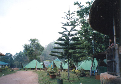 DEAR FRIENDS THIS IS THE BEAUTIFUL VEW OF KAZIRANGA THE HOMELAND OF WORLD FAMOUS ONE HORNE RIGNOSOR