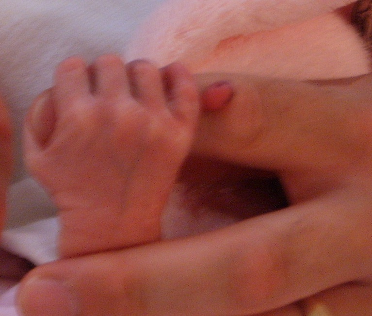 Holding Daddy's Hand