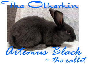 A Zoanthropomorphic rabbit and owner in The Otherkin Guild