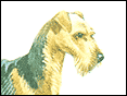 �U��� Airedale Terrier