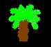 Palme