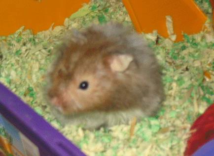 Another picture? Won't you just let me run, please?