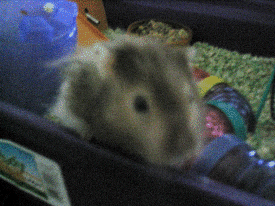 Look at me! Aren't I adorable??