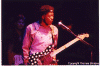 Buddy_guy_6.gif (159546 bytes)