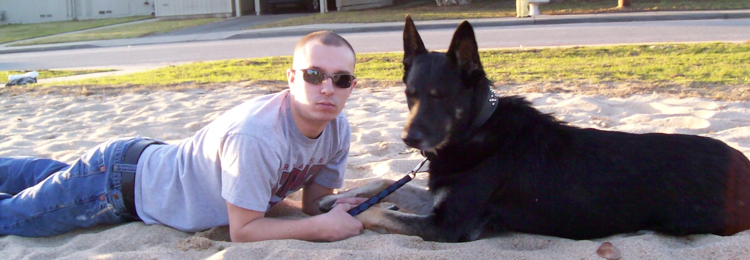 Kamikaze Protectors German Shepherds